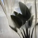 Tabaiba Lanzarote 别墅 普拉亚布兰卡