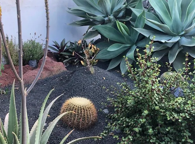 빌라 Tabaiba Lanzarote 플라야블랑카